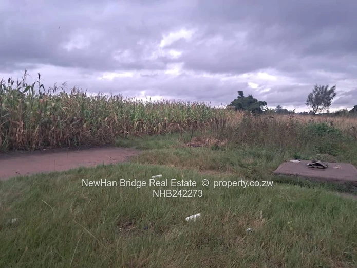 Waterfalls Prospect Stand wih a built up cottage (Sole Mandate)