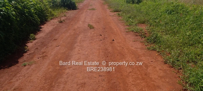 Medium Density Stands For Sale