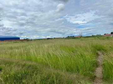 Commercial & Industrial Land