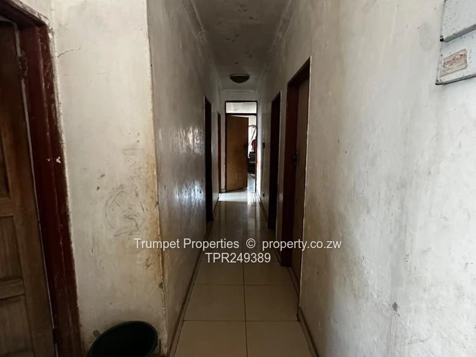Freshly Painted 4-Bed House in Chitungwiza with Communal Borehole