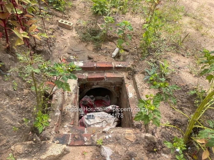 Greendale cluster stands opposite lustania school