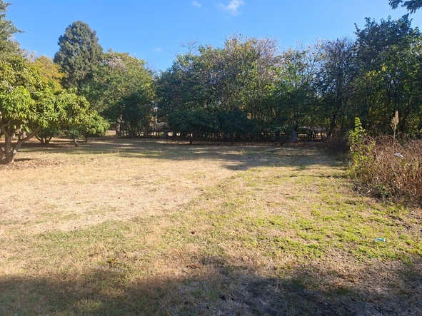 Stands & Residential Land