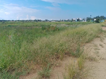 Commercial & Industrial Land