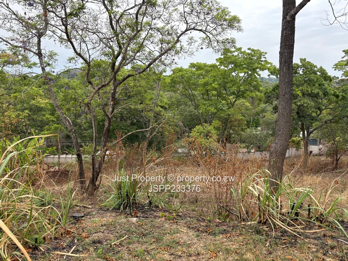 Renovator’s Delight