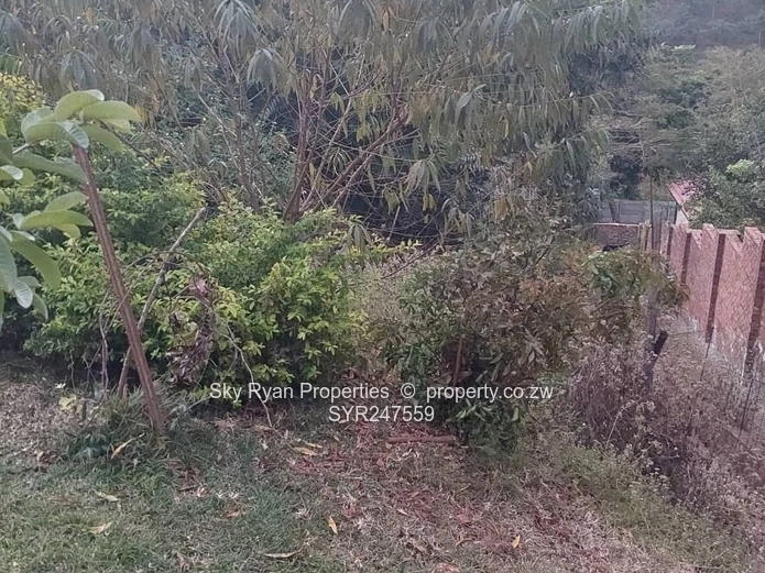Shawasha Hills Stand For Sale