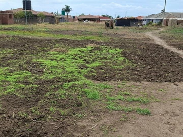 Stands & Residential Land