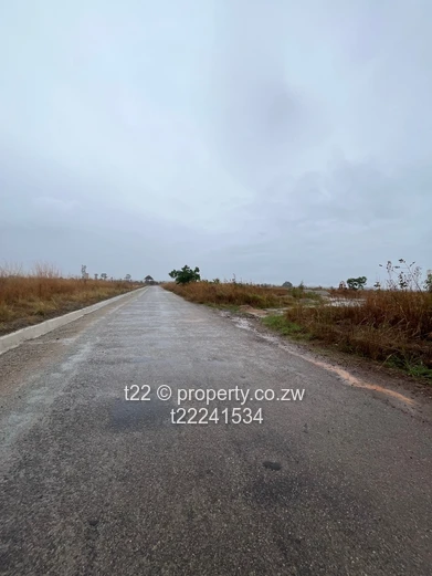 Luna Park Estate stands for sale 