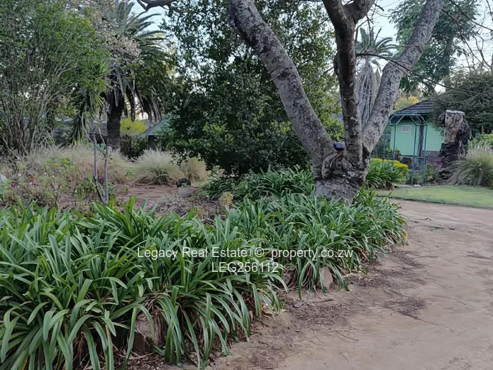 Burnside 4-Bed Oasis: Pool, Borehole & 4047m2 Garden