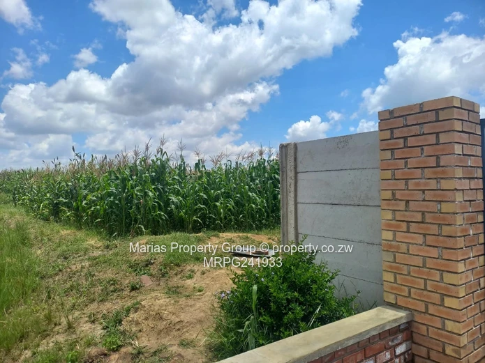 1000 m2 Sandton Park — Serviced Stand with Field Views