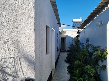 Farm & Agricultural Land