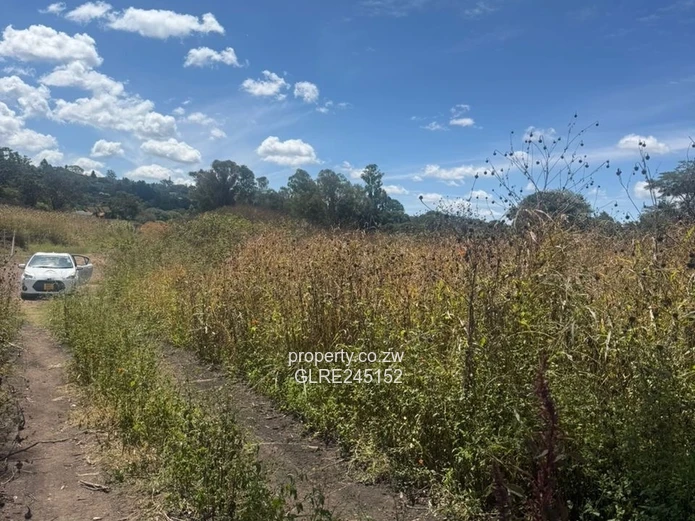 Prime 3,700m² Greystone Park Stand — Subdivision Ready