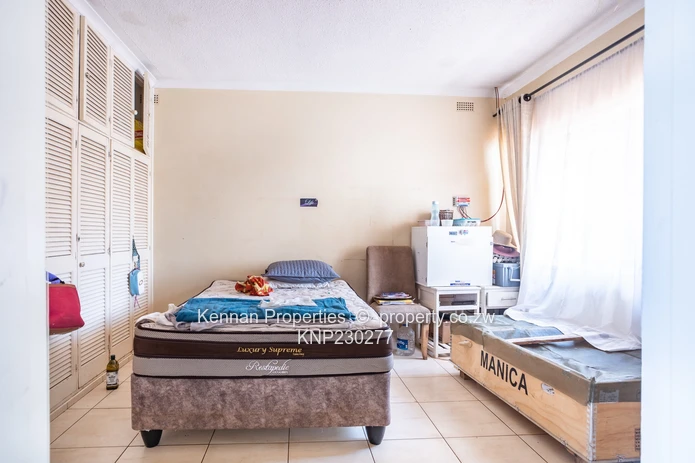 Renovator's Dream - Nostro!