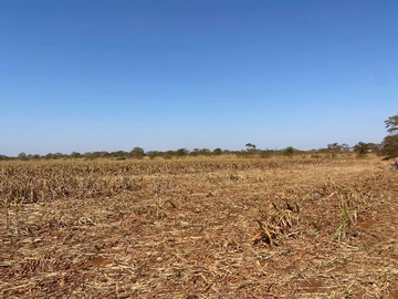 Farm & Agricultural Land