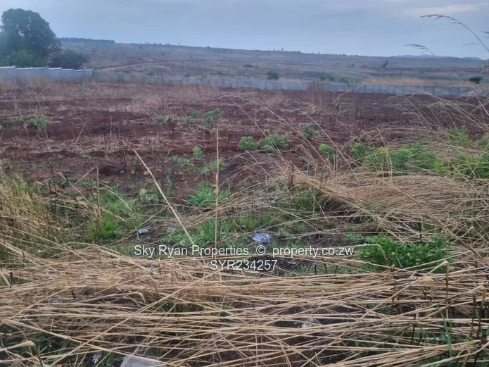 Borrowdale Brooke Stand For Sale