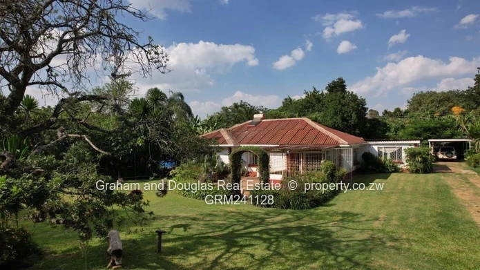 Property on Auction (Sole Mandate)