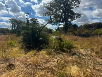 Commercial & Industrial Land