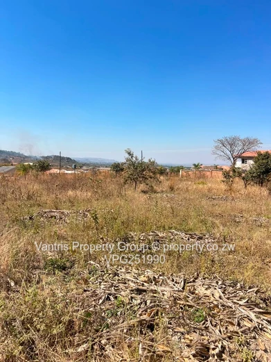 Palm village stands for sale !!!!