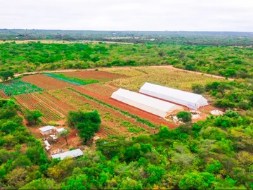 Farm & Agricultural Land