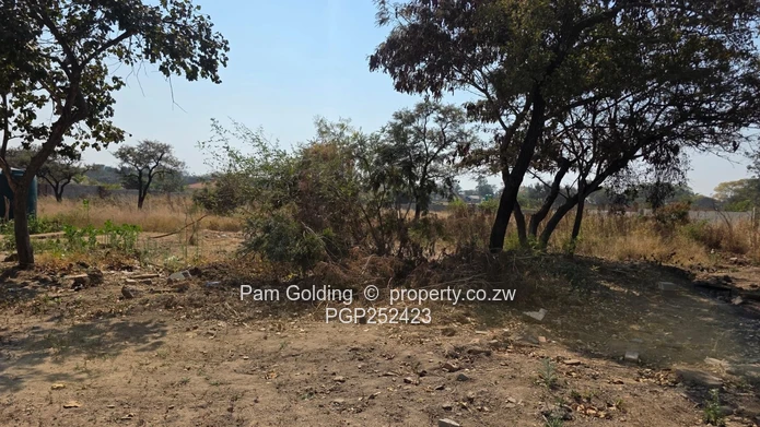 Matsheumhlophe – Opportunity On An Acre