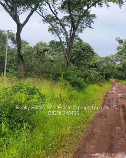 1.3ha Norton Hillside , Accessible