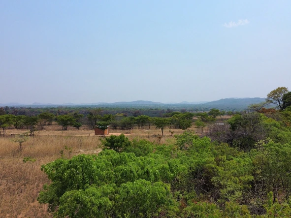 Farm & Agricultural Land