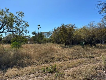 Farm & Agricultural Land