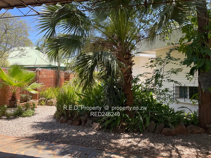 3 Bedroom House For Rent In Suburbs!