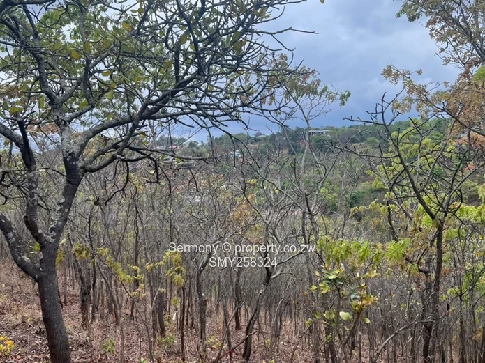 Exclusive Residential Stand In Brookeridge Estate