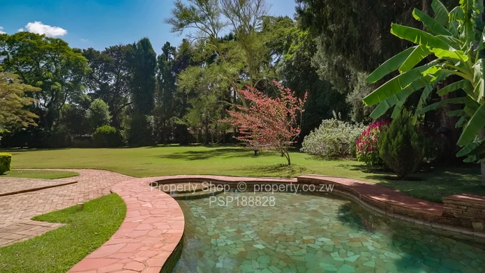 Timeless Elegance Meets Modern Luxury