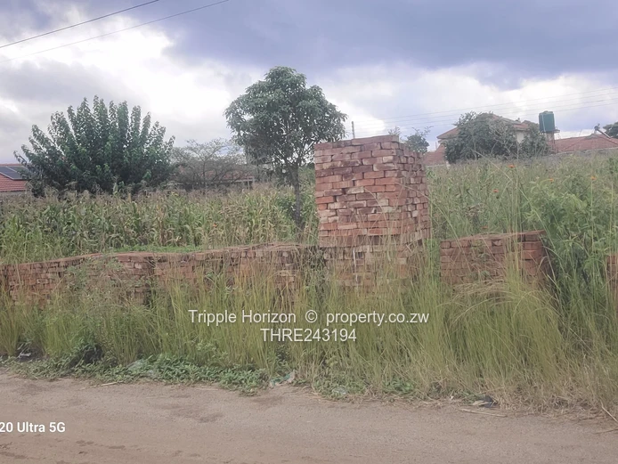 Great investment opportunity 