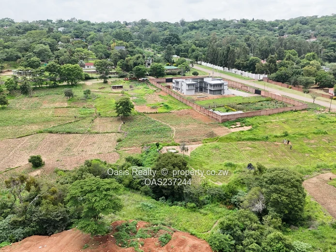 Prime Glen Lorne Panhandle Infill Stand for Sale