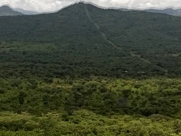 Farm & Agricultural Land