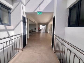 Flat & Apartment