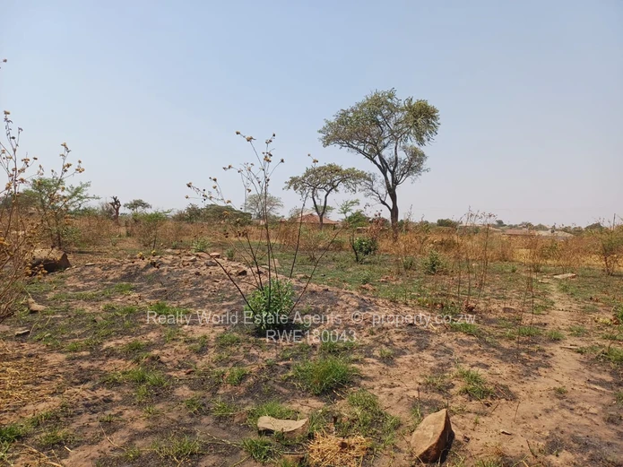 Rydale Ridge Stand For Sale 