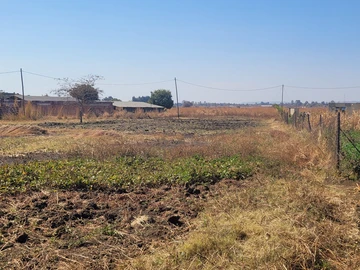 Stands & Residential Land
