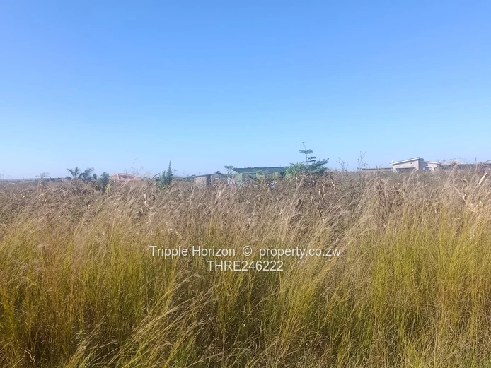 1000m² Norton Stand — Level, built up area