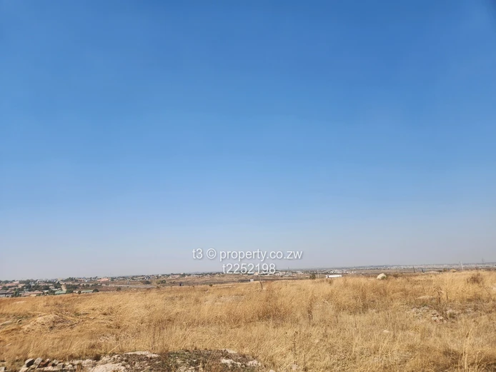 Ruwa Goshen Park Stand for Sale
