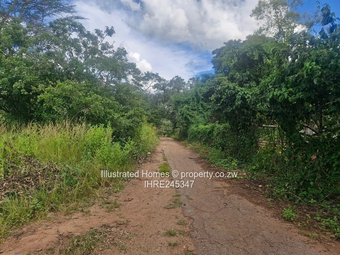 41ha Crowhill Views - Subdividable Land with Main Road Frontage