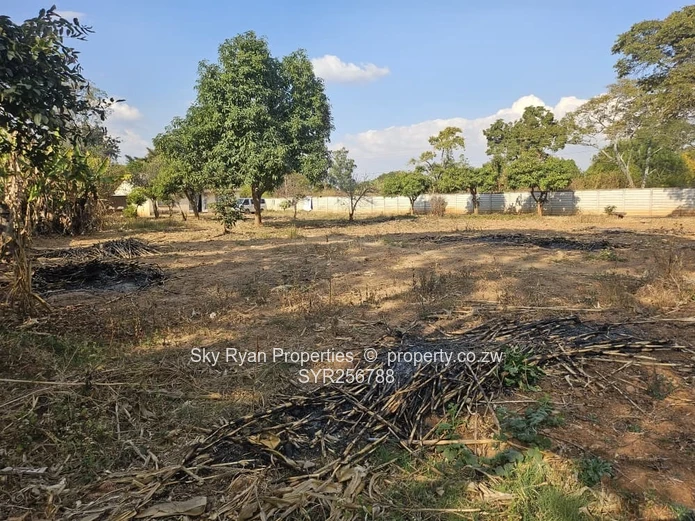 Residential Stand for Sale in Quinnington