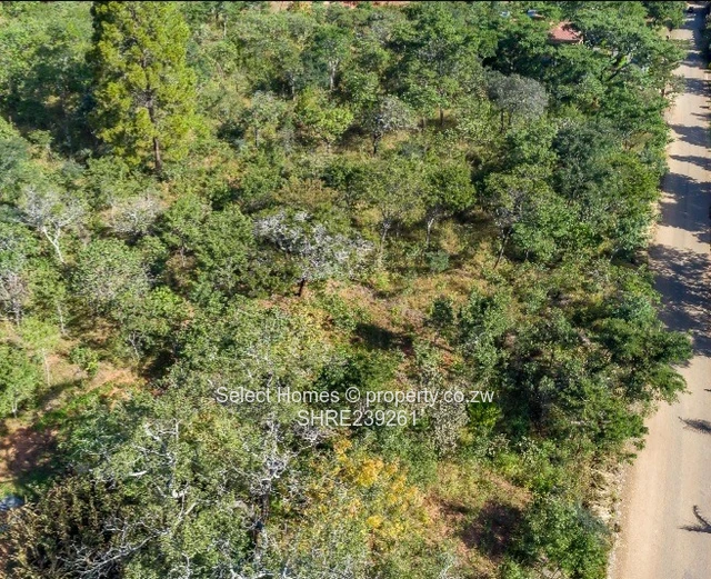 Gletwyn Stand for Sale