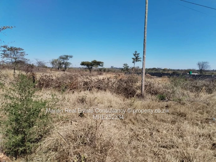 Douglasdale Stand For Sale