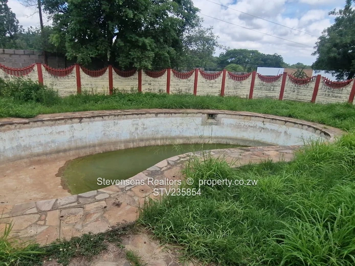 Great Starter Family Home With Potential!