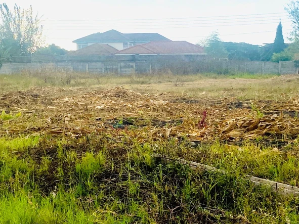 Stands & Residential Land