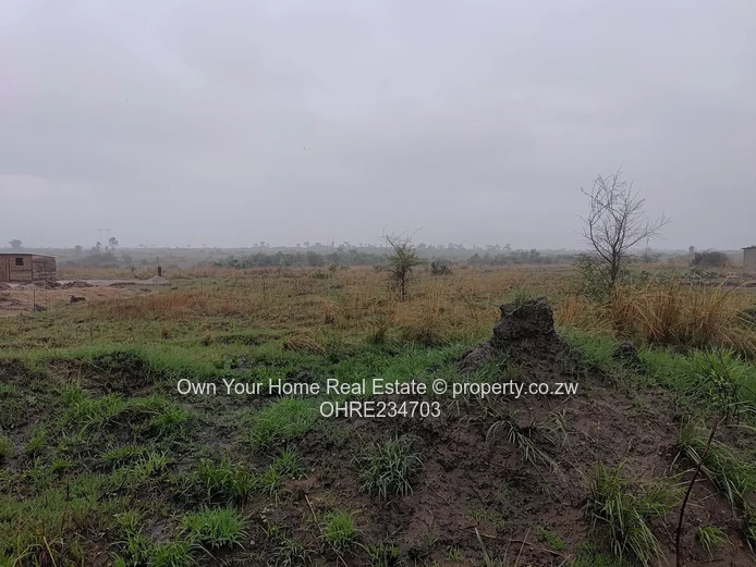 Huntersville stand for sale