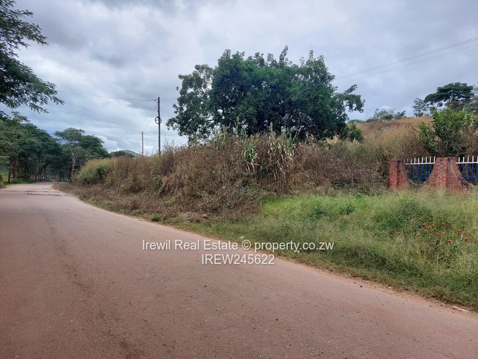 Shawasha Hills Stands on Sale (Sole Mandate)