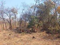 Farm & Agricultural Land