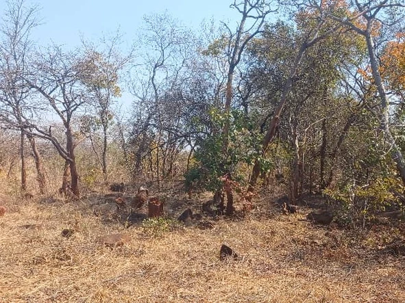 Farm & Agricultural Land