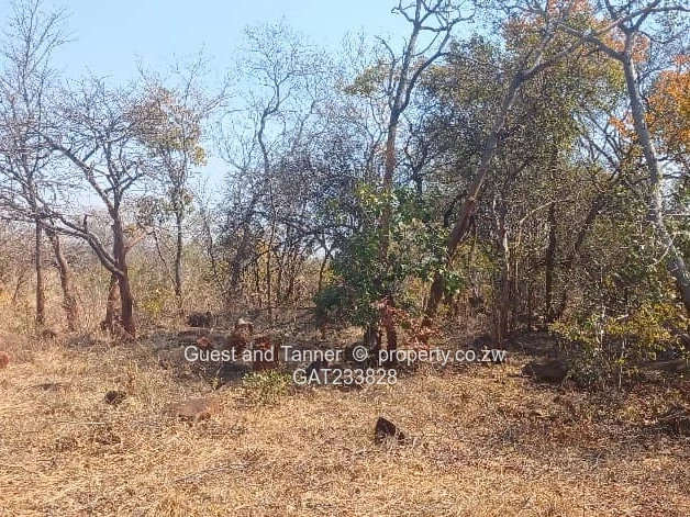 Plot For Sale In Norton