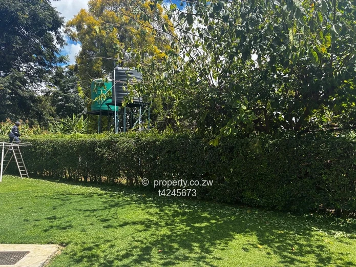 Mount pleasant 4 bed fully furnished house to Rent