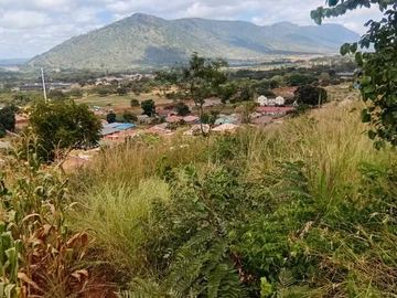 Commercial & Industrial Land